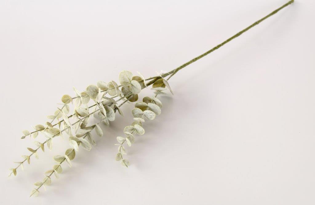 Eucalyptus 5 Stem Bunch